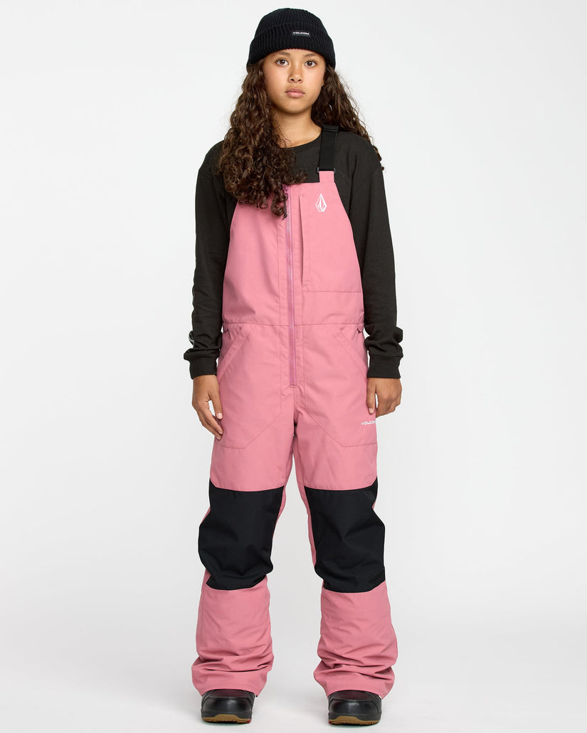 Salopette de snow Barkley Insulated - Mesa Rose