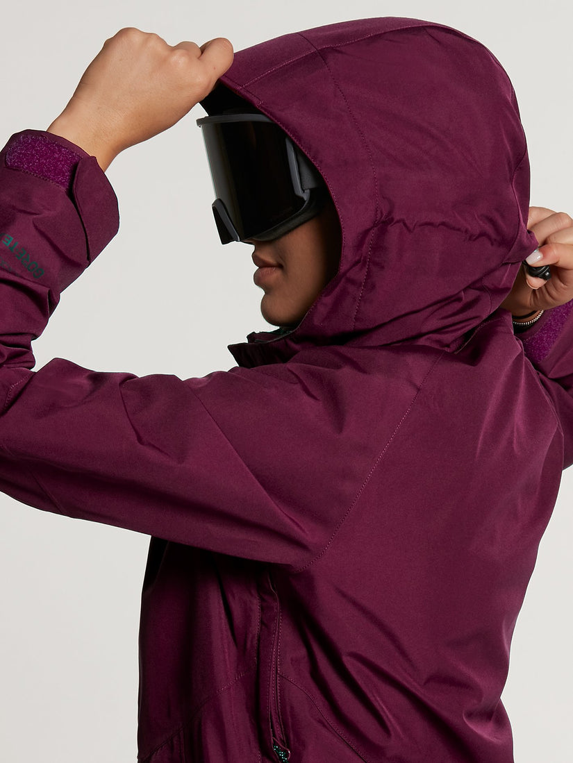 ARIS GORE-TEX JACKET (H0652106_BRD) [31]